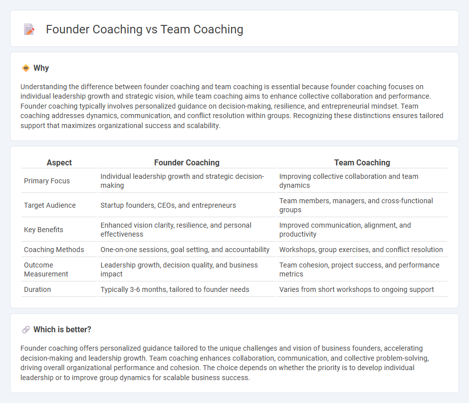 Founder Coaching vs Team Coaching in Consulting