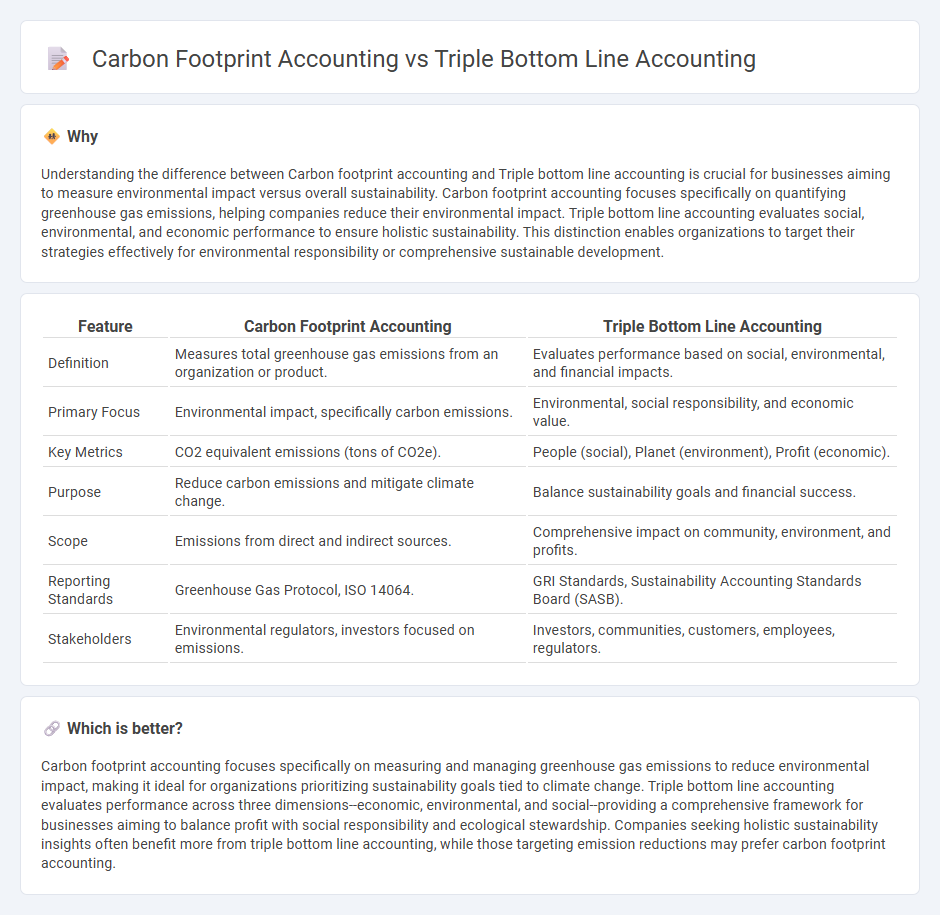 Carbon Footprint Accounting vs Triple Bottom Line Accounting in Accounting