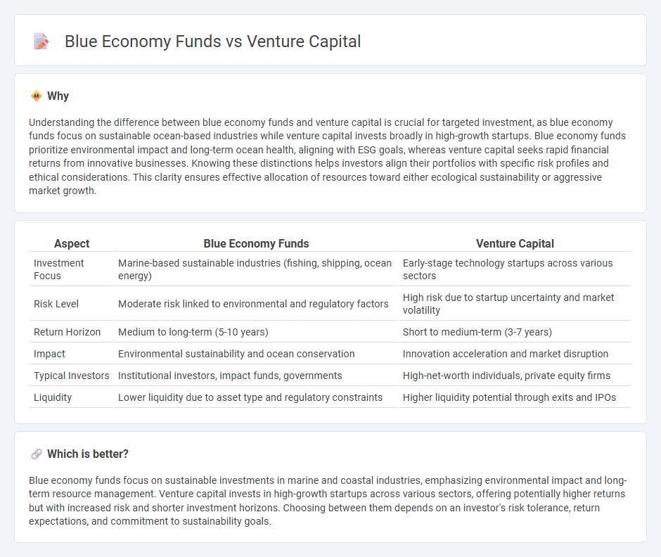 Blue Economy Funds vs Venture Capital in Investment