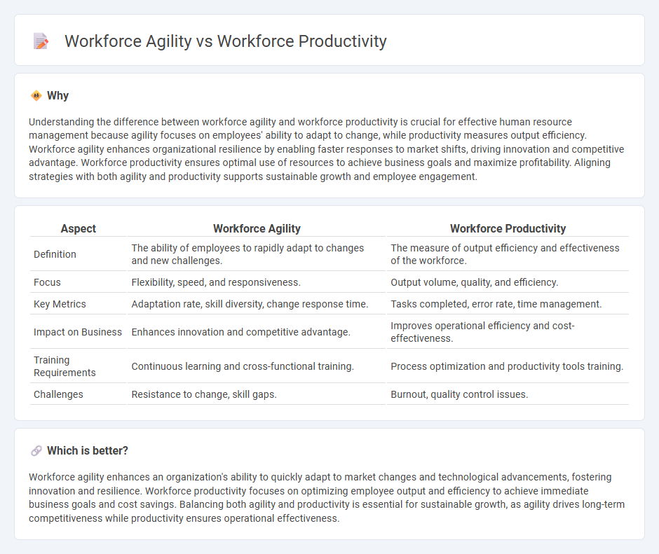 Workforce Agility vs Workforce Productivity in Human Resources