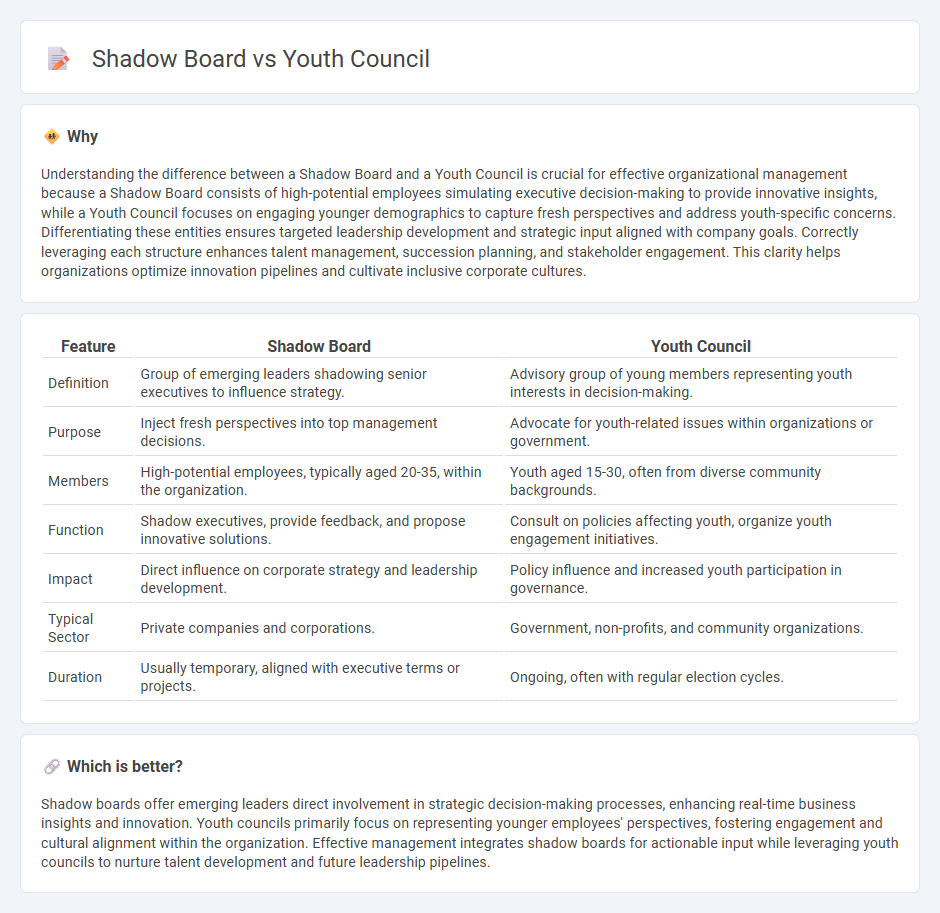 Shadow Board vs Youth Council in Management